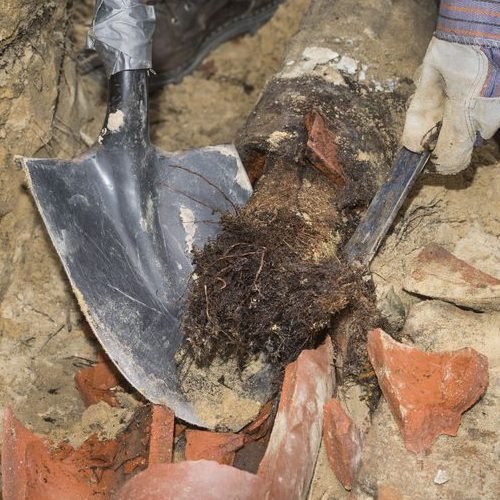 man-removing-roots-from-terracotta-pipes-e1551460619556