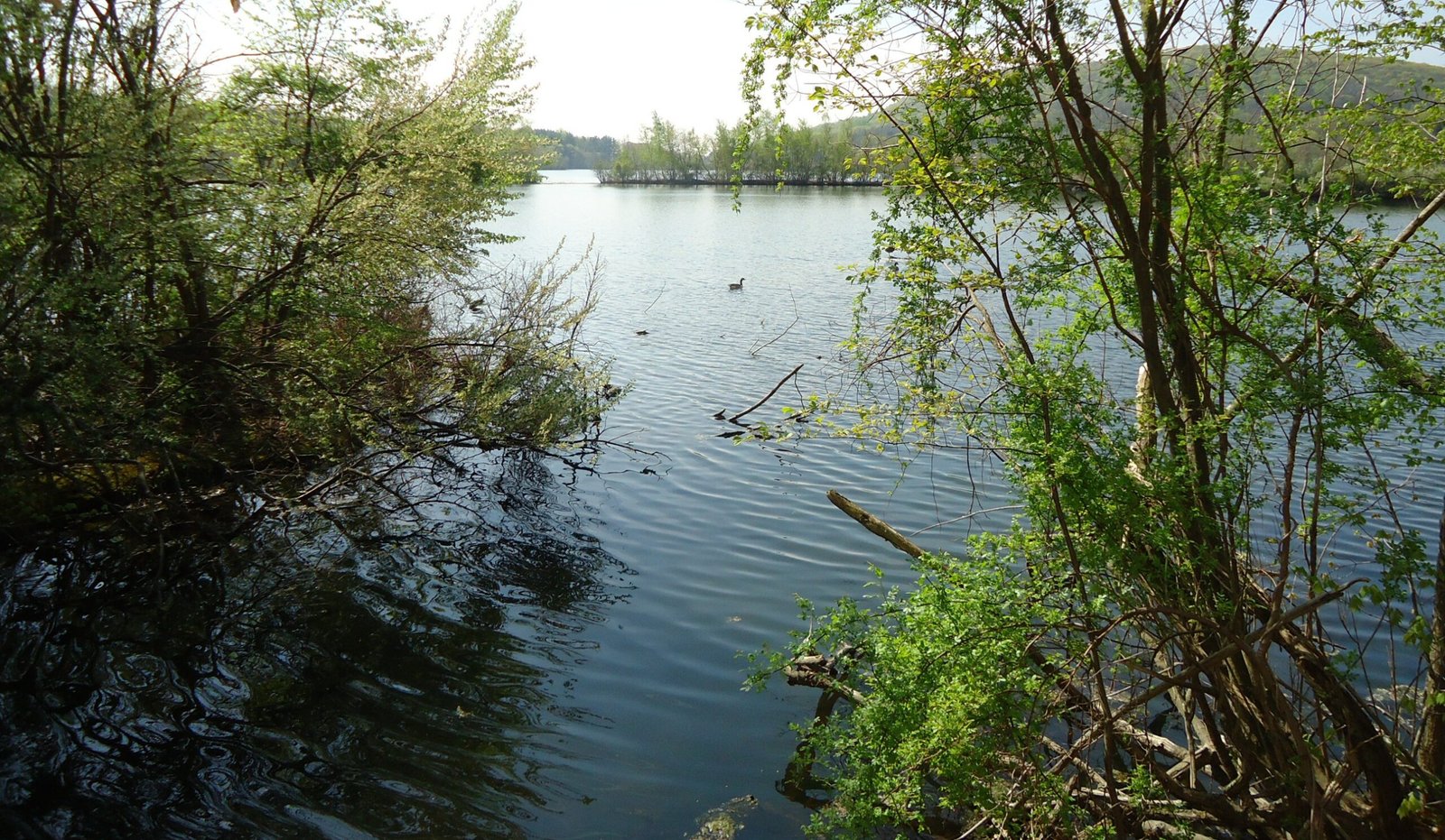 Franklin Lakes Nature Preserve, NJ